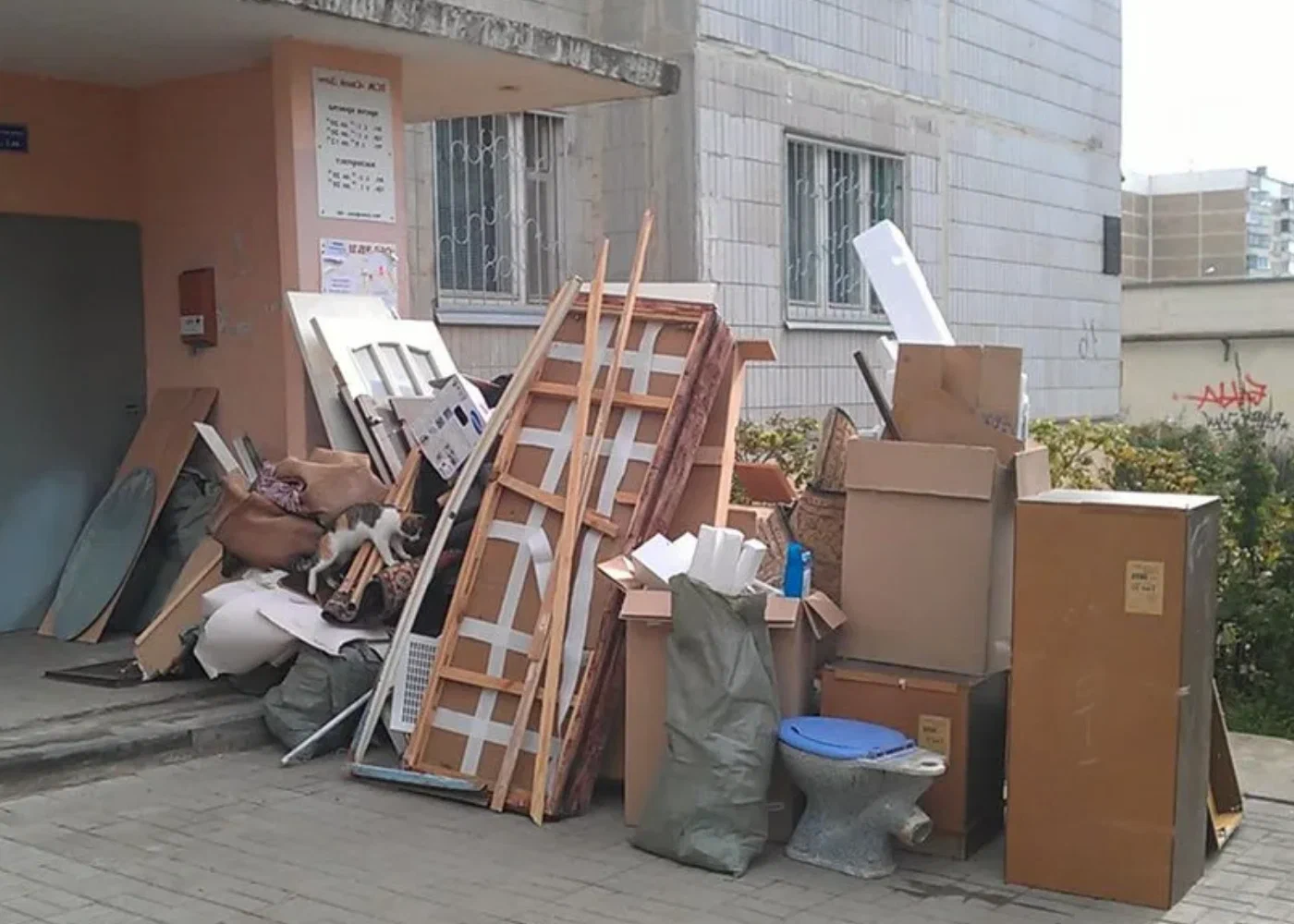 Профессиональный вывоз мусора из квартиры в Ханты-Мансийске в октябре