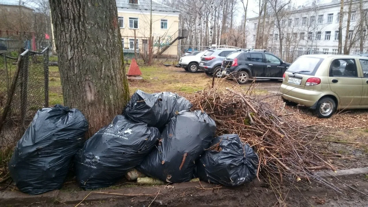Вывоз мусора после субботника в Ханты-Мансийске от ПроМусор – уборка и утилизация отходов от 2399 руб