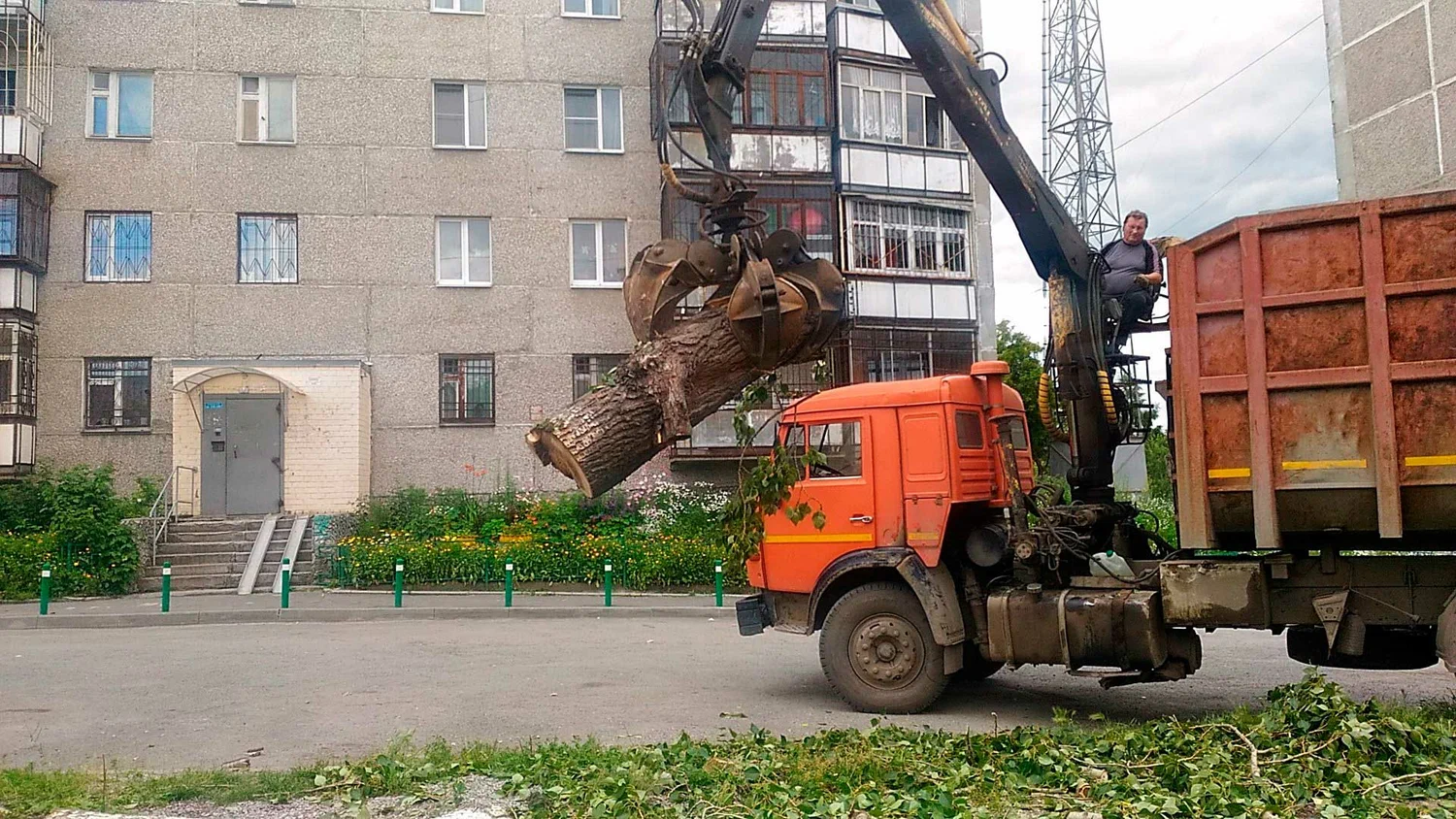Вывоз спиленных веток и деревьев в Ханты-Мансийске от ПроМусор: порубочные остатки, утилизация, цена от 2961 руб