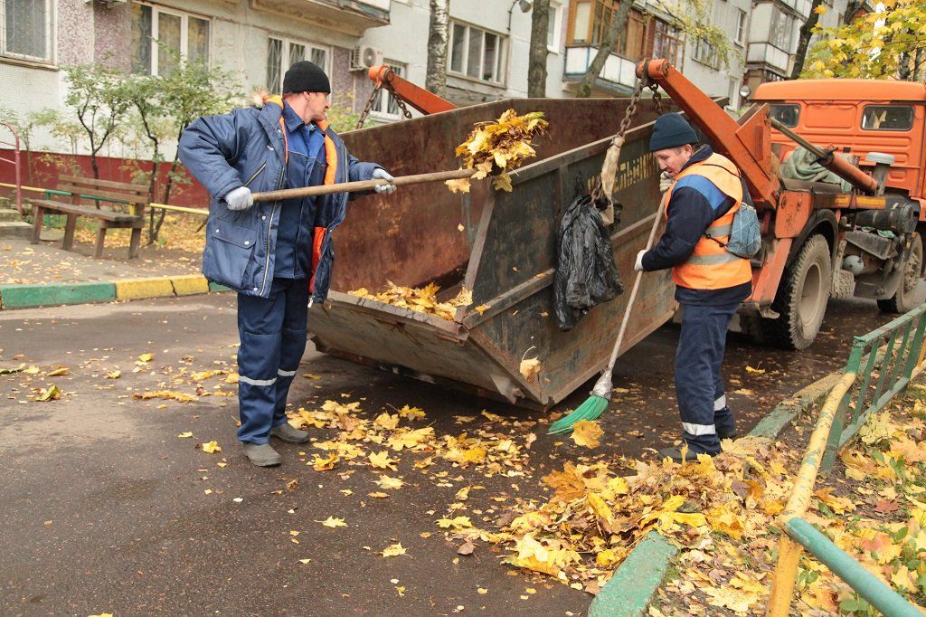 Вывоз опавшей листвы и растительного мусора в Ханты-Мансийске от ПроМусор – цена от 4594 руб., быстрая уборка и утилизация